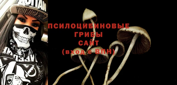 ешки Корсаков